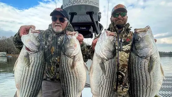 Big Bite Charters - Lake Lanier Fishing Guide, Suwanee, GA