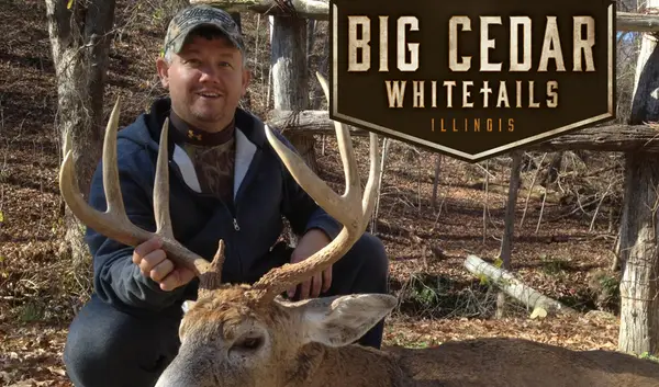Big Cedar Whitetails