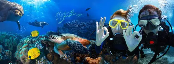 BIG FISH Dive Center Tenerife