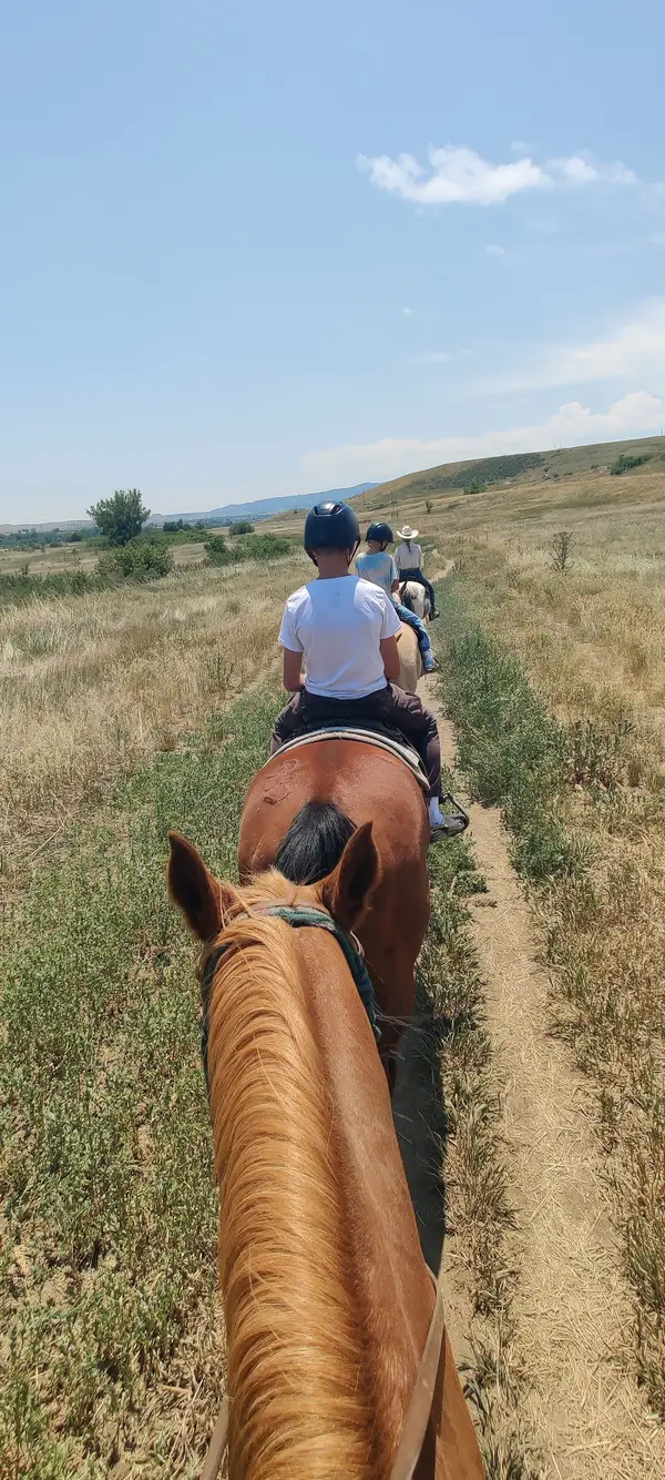 Big Horn Stables