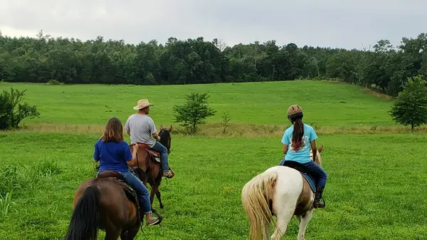 Big Horse Riding Academy