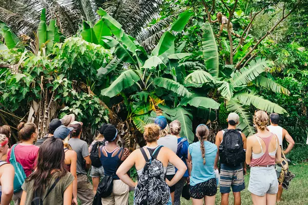 Big Island Farms, Honokaa, HI