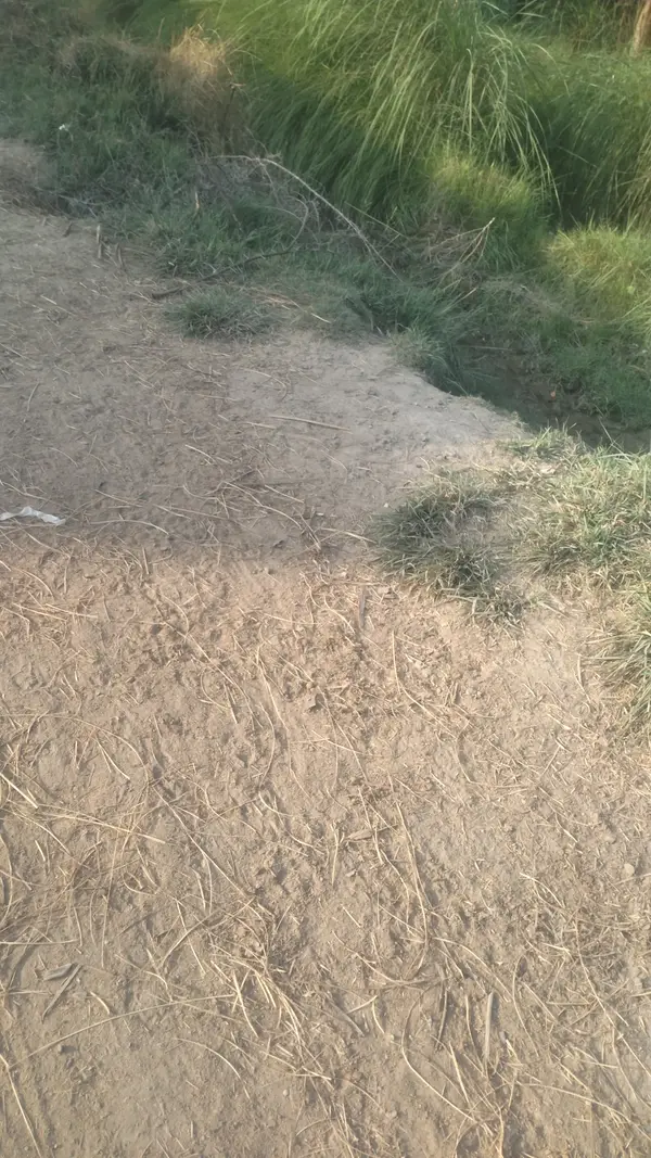 Big River Off-Road Park