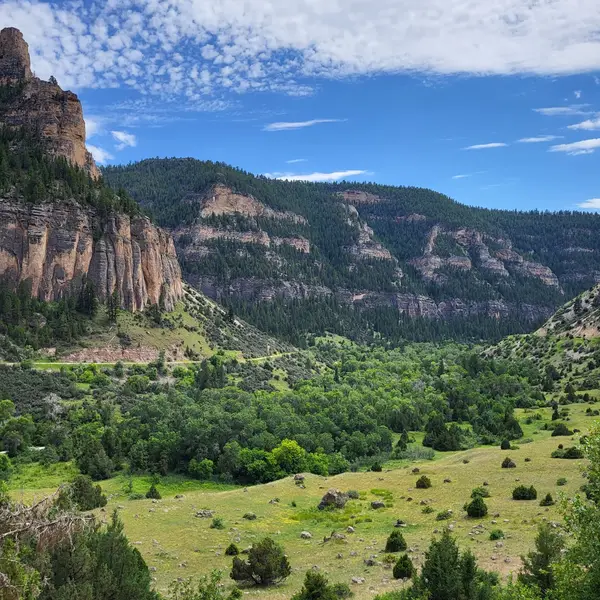 Bighorn National Forest OHV