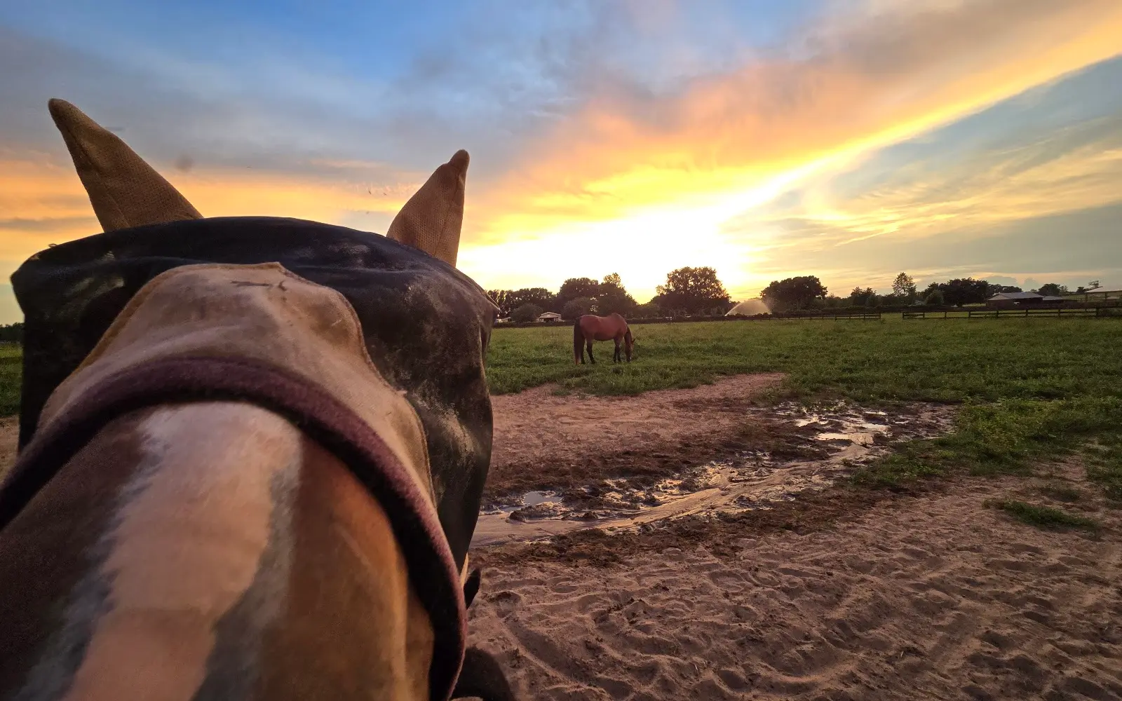 Birds Eye View Equestrian Center