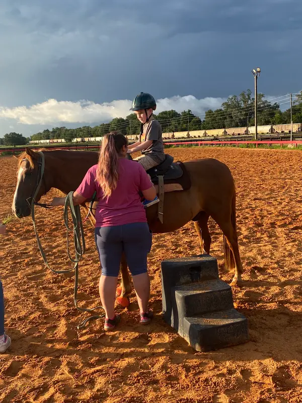 Birds Eye View Equestrian Center, photo 1