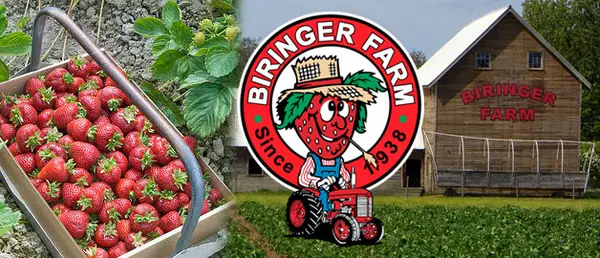 Biringer Farms, Arlington, WA