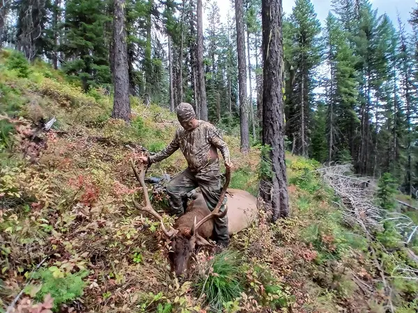Bitterroot Mountain Outfitters