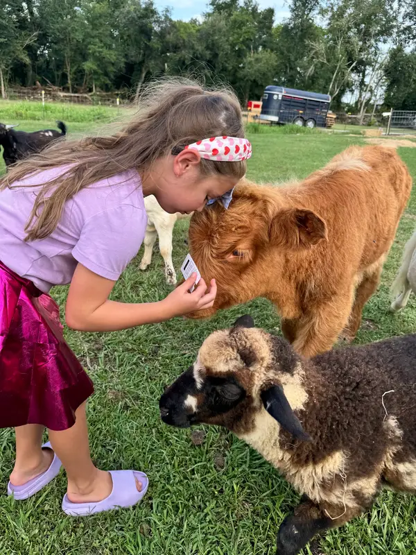 Bivin Family Farm