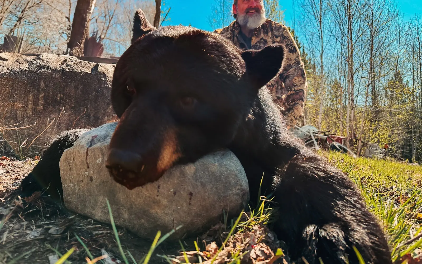 Black Bear Adventures