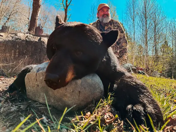 Black Bear Adventures