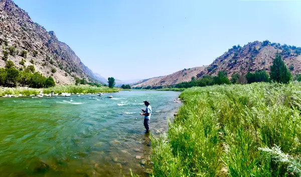 Black Canyon Anglers