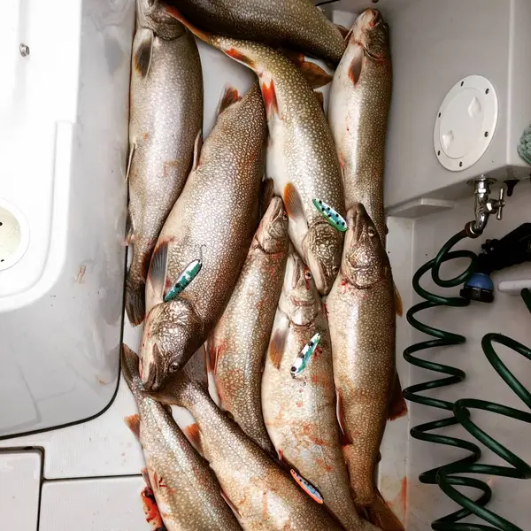 Black Dog Adventures Fishing Charters
