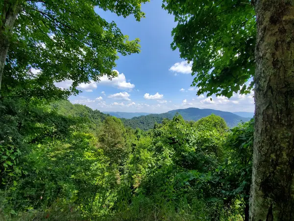 Black Mountain Off Road Adventure Area