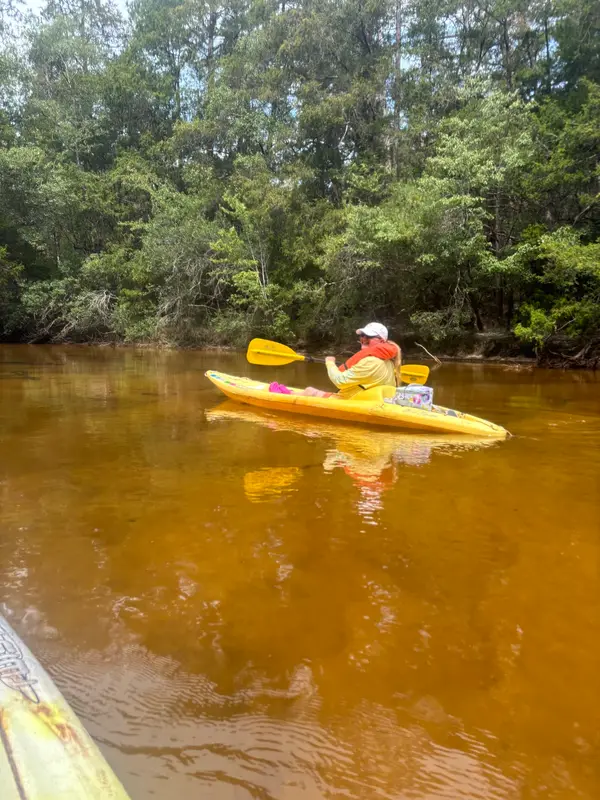 Blackwater Canoe Rental, photo 1