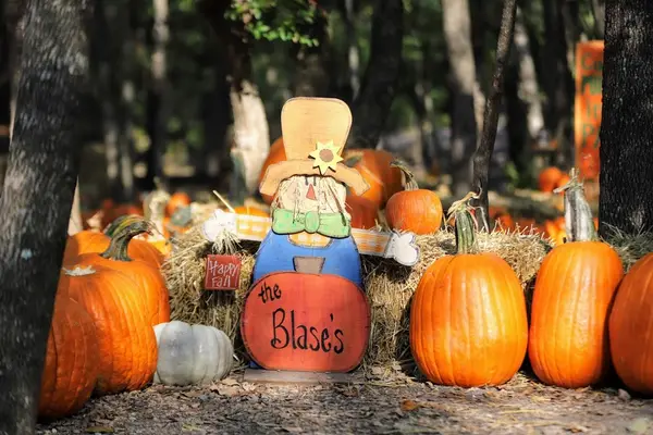Blase Family Farm, Rockwall, TX