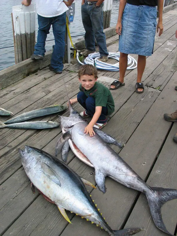 Block Island Sport Fishing Charters, New Shoreham, RI