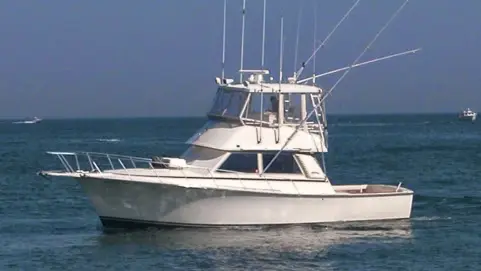 Blue Chip Sportfishing