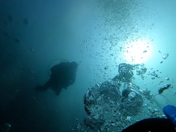 Blue Marble Divers