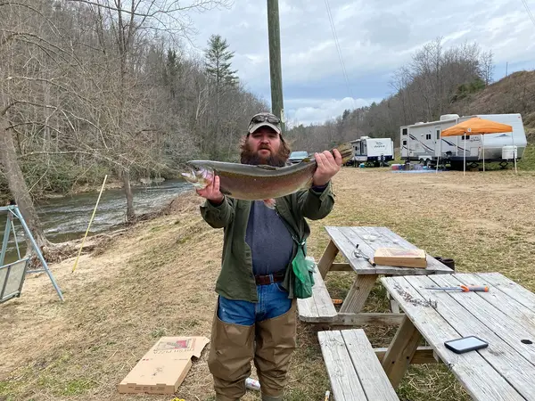 Blue Ridge Trophy Trout Fishing