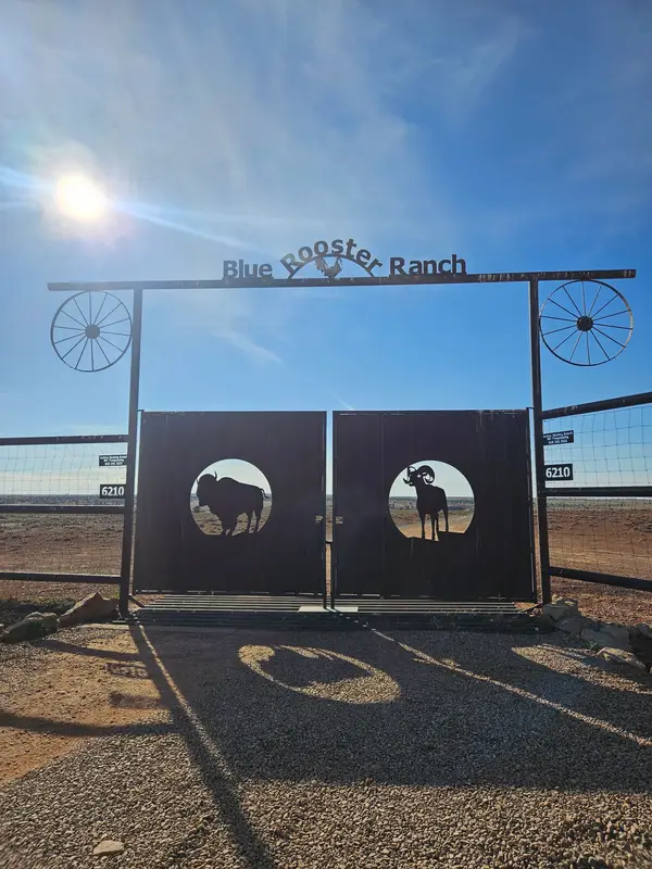 Blue Rooster Hunting Ranch