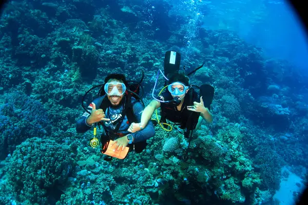 Blue Sea Dive Club Sharm (White Hills)
