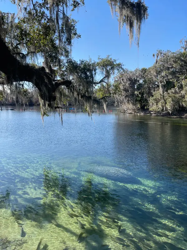 Blue Spring Adventures, photo 1