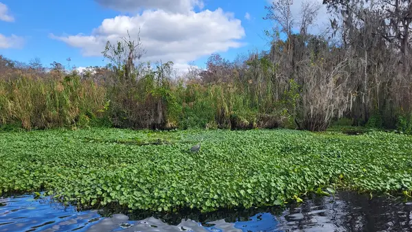 Blue Spring Adventures, photo 2