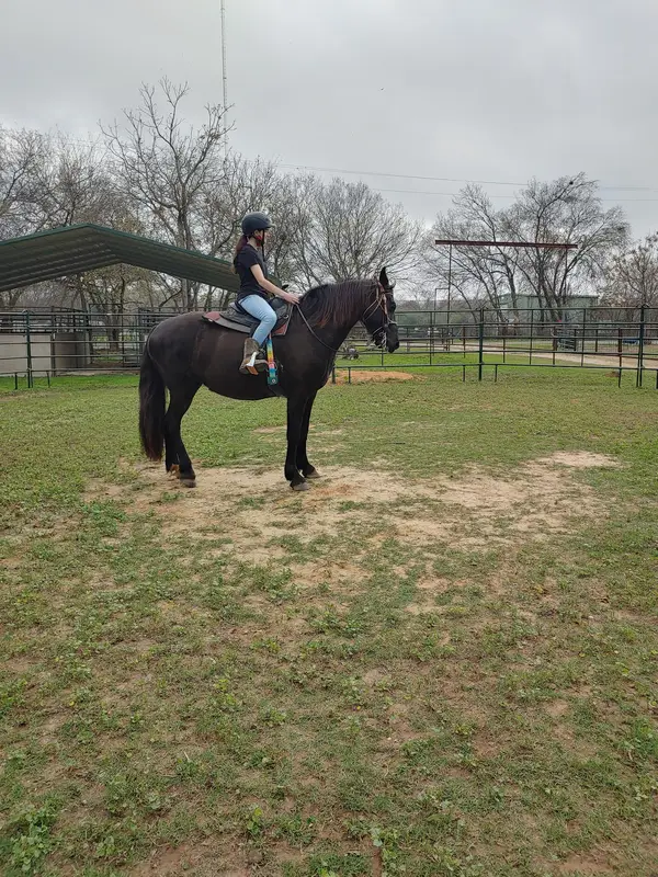 Blueberry Creek Stables, photo 2