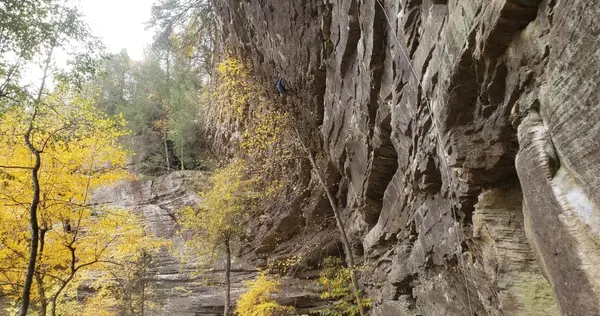Bluegrass Climbing School