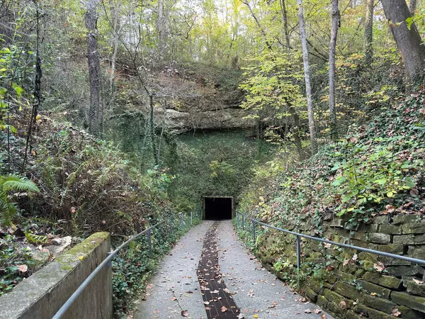 Bluespring Caverns Park, Bedford, IN