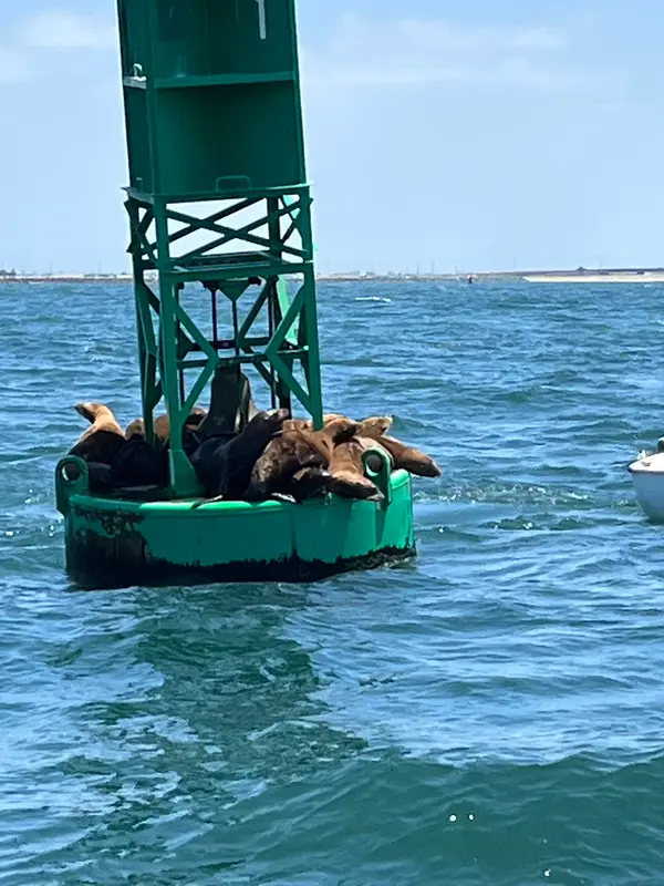 Boatsetter - Long Beach Boat Rentals