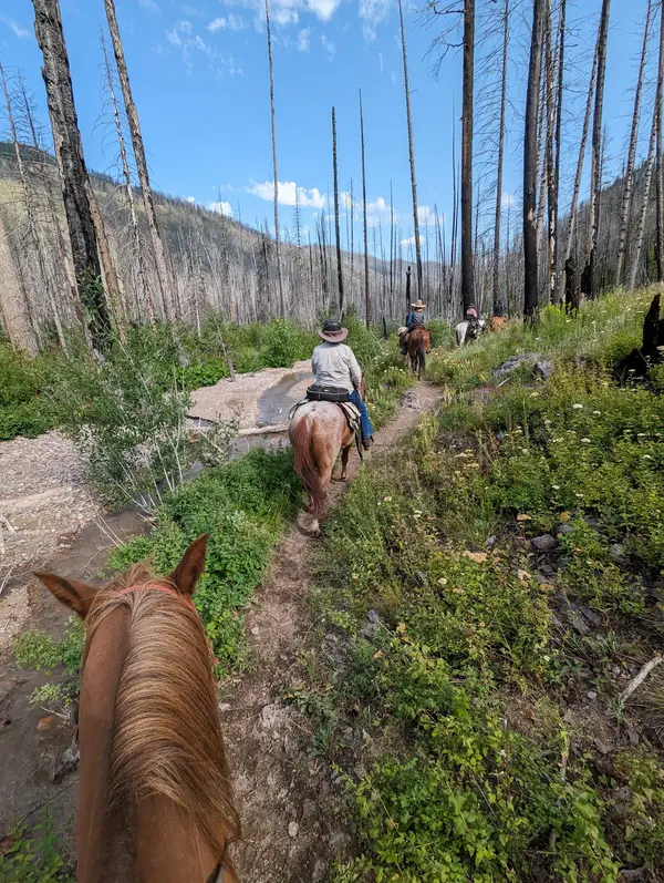 Bob Marshall Wilderness Outfitters