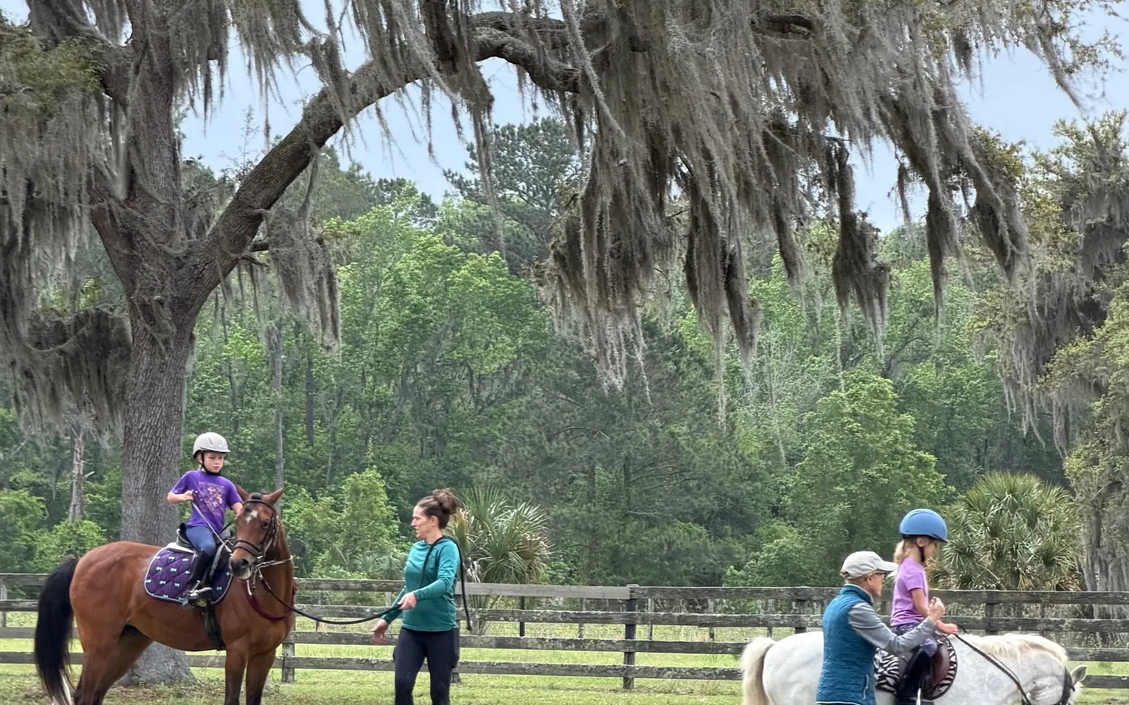 Bobbin Hollow Equestrian Center