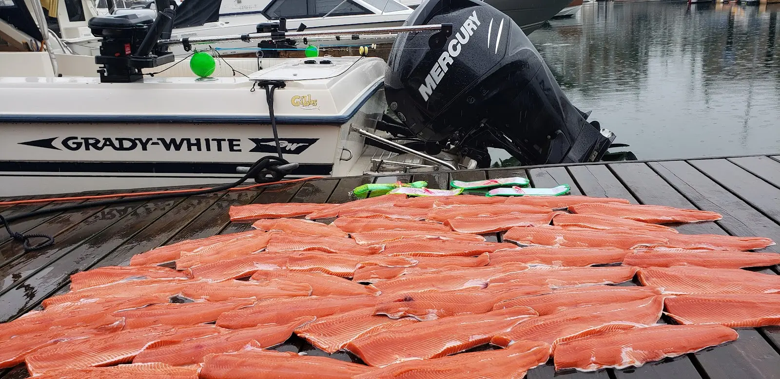 Bon Chovy Fishing Charters