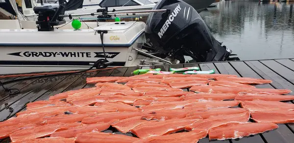 Bon Chovy Fishing Charters