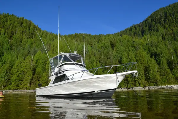 Bon Chovy Fishing Charters, photo 2