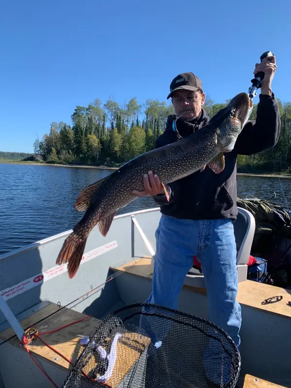 Boreal Forest Outfitters, photo 3