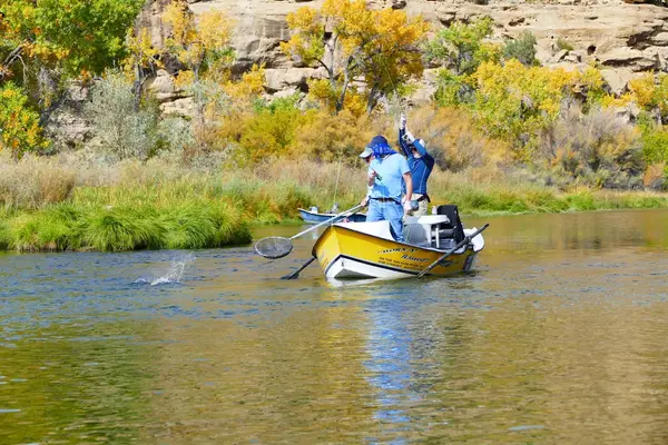 Born N' Raised Guide Service on the San Juan River, Navajo Dam, NM