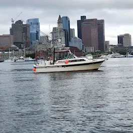 Boston Harbor Fishing / Fishbucket Sportfishing, Boston, MA