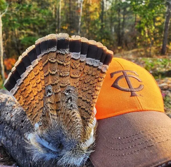 Boundary Waters Grouse Lodge