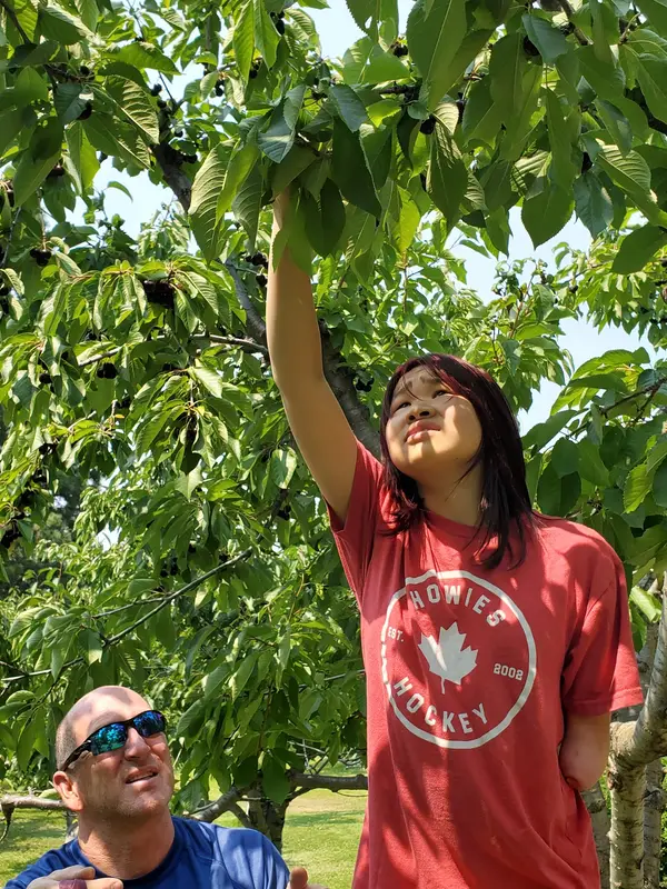 Bowman Orchards, Bigfork, MT