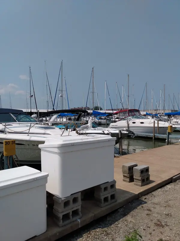 Brands Marina