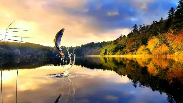Branson Guided Fishing Trips, Branson, MO