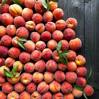 Branstool Orchards, Utica, OH