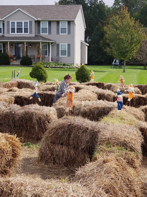 Brasee's Corn Maze, Wellington, OH