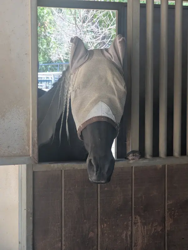 Breezy Meadow Stables, photo 1