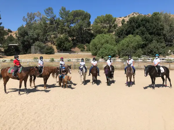 Breezy Meadow Stables, photo 2