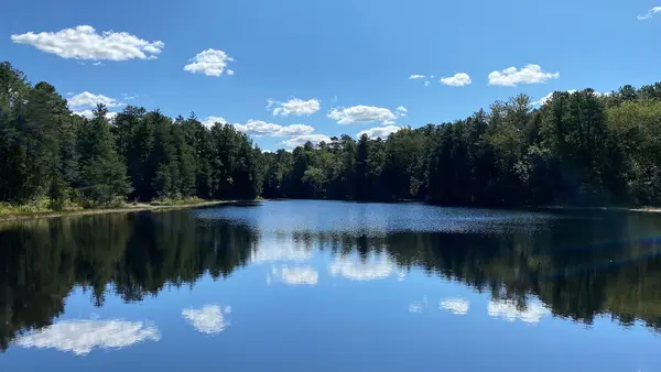Brendan T. Byrne State Forest ATV Trails