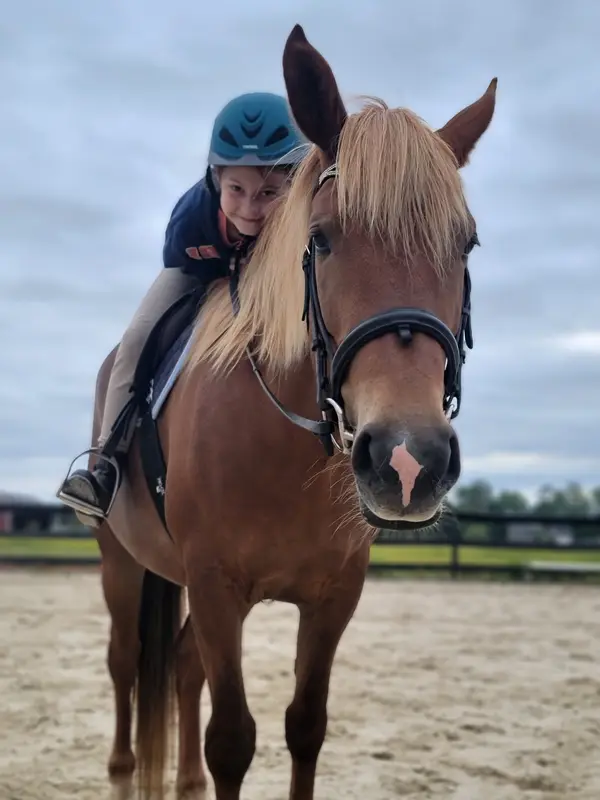 Briar Glen Riding Academy